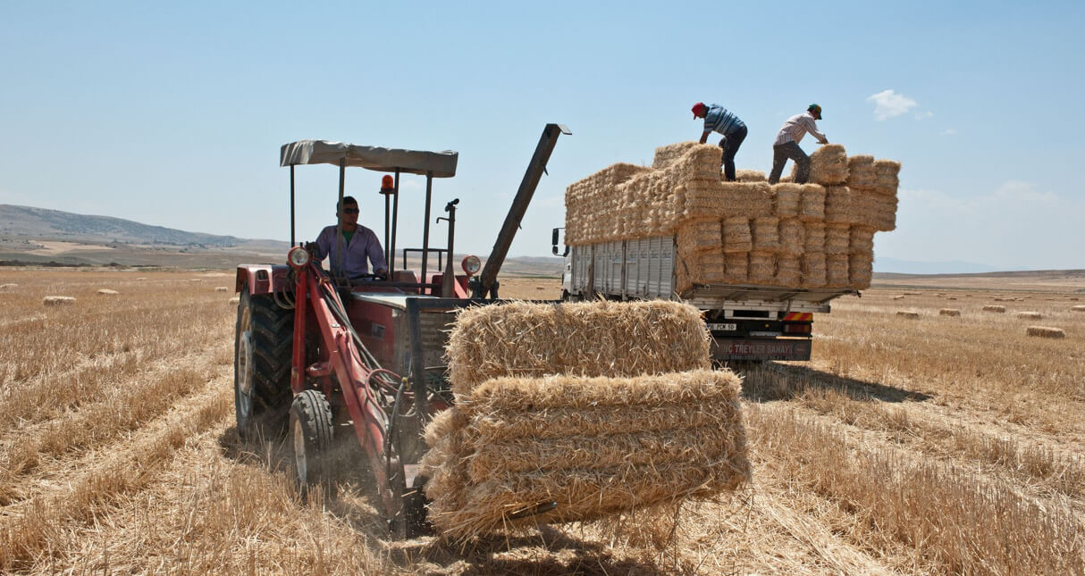 Photograph a tractor and men bailing hay